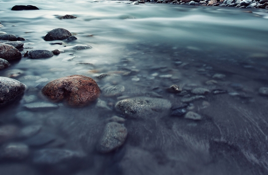 粉象生活是干什么的