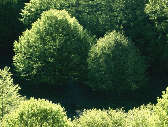 小财象贷款是真的吗