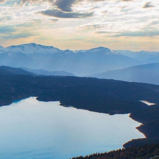 粉象生活下载app