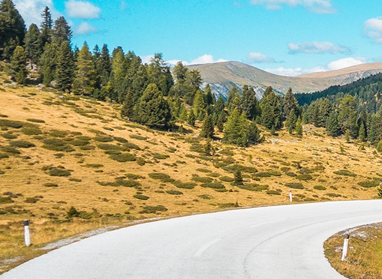 福建品质粉象生活靠谱么