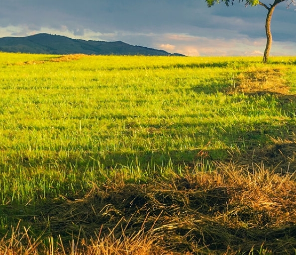 多少元购粉象生活vip