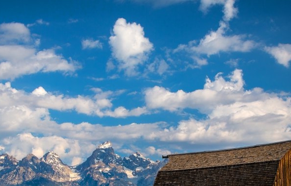 粉象生活下载app