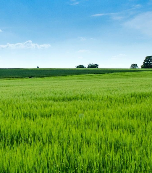 粉象生活开发原理