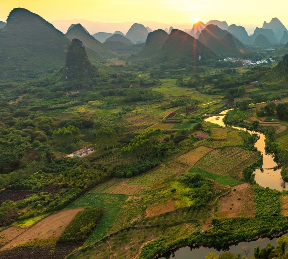 粉象生活官网首页