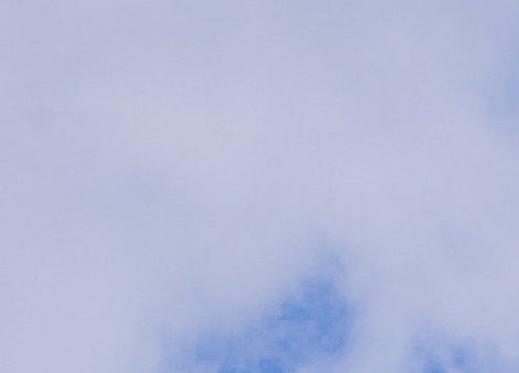 粉象生活怎样开通淘宝授权