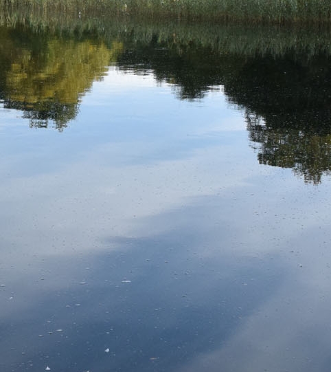 粉象生活返利商家