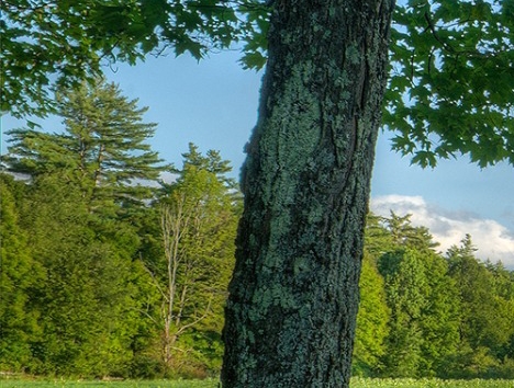 水象分期靠谱吗