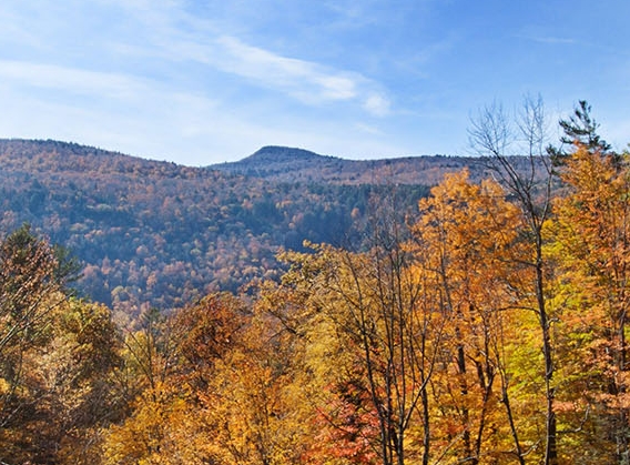 粉象生活怎么推广引流加粉丝