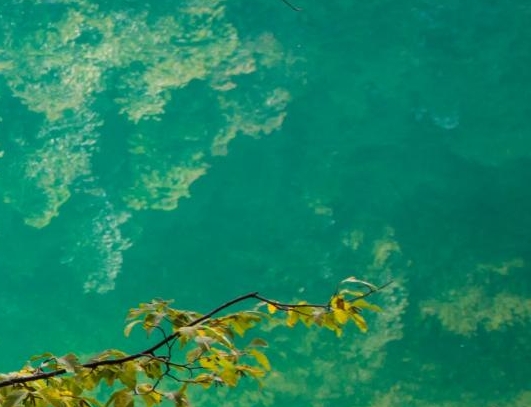 湛江粉象生活加盟代理