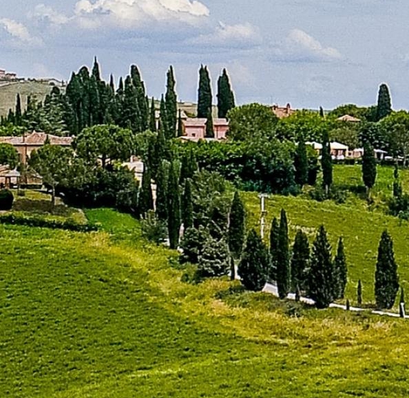 兰州粉象生活代理