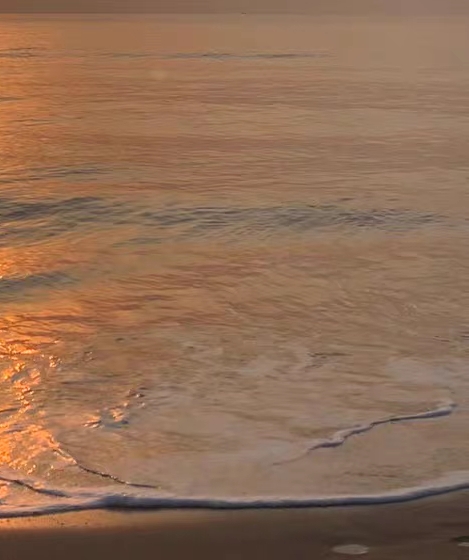 跟粉象生活类似的APP有哪些