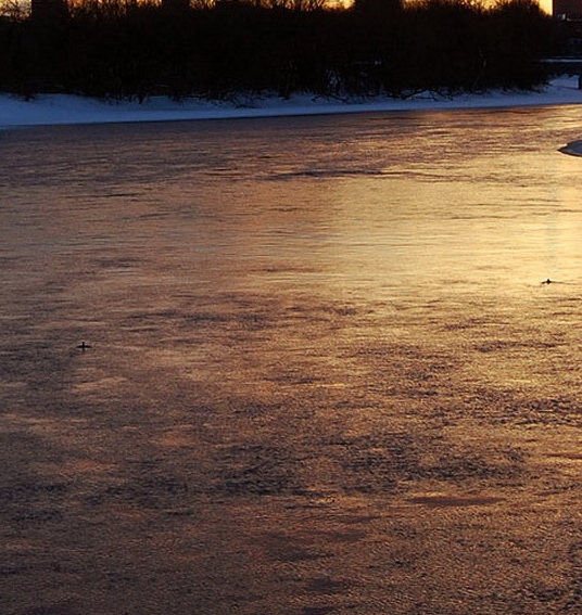 汕头粉象生活合伙人