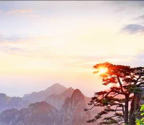 阳江粉象生活赚钱