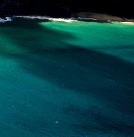 泰国粉象博物馆简介