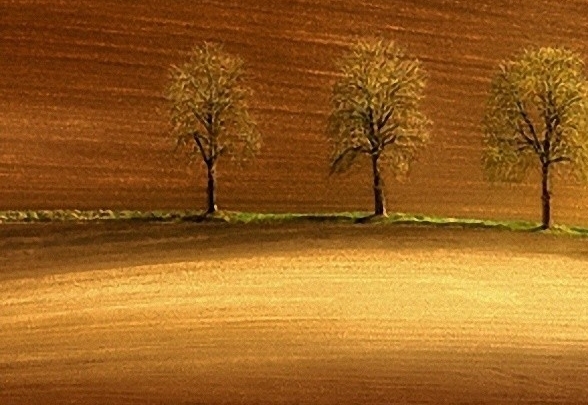 粉象生活如何升级优质用户