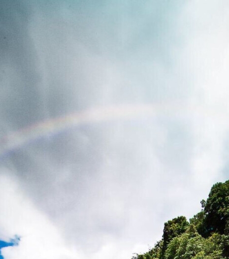 汕尾粉象生活赚钱