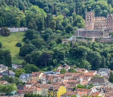 粉象生活领现金瓜分二十万