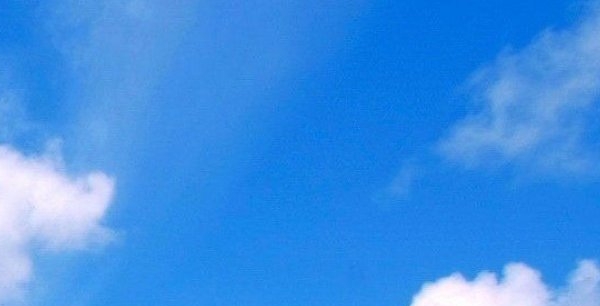 莆田粉象生活佣金