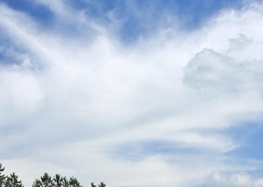 粉象生活引流是什么意思