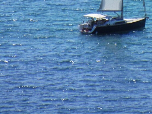 自贡粉象生活app