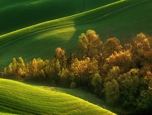 汕尾粉象生活电话