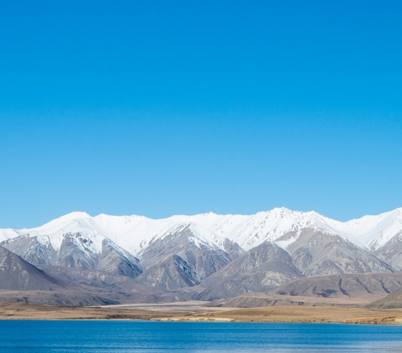 湖北口碑粉象生活官网