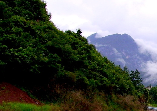 粉象生活怎么赚取佣金