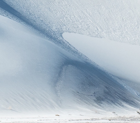 粉象生活新手怎么做