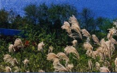 怎样利用粉象生活赚钱