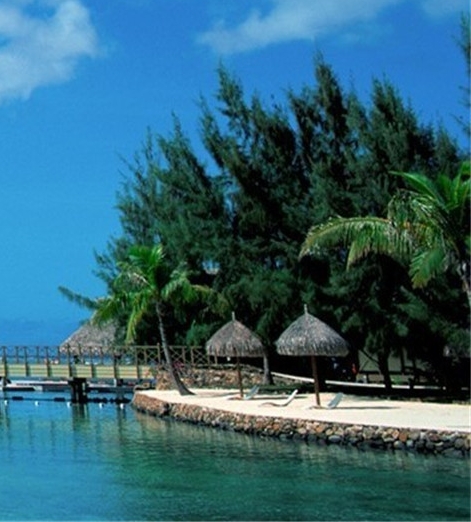 粉象生活怎么赚钱的