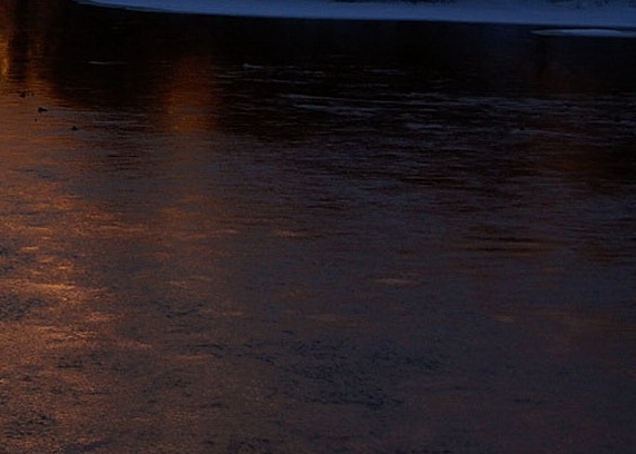 韩国粉象生活app