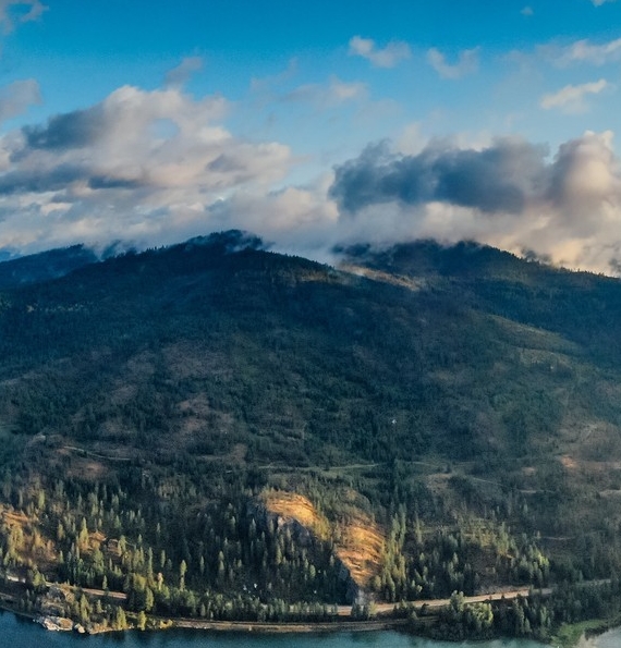 粉象生活积分怎么来的