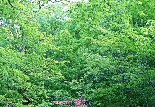 惠州粉象生活app