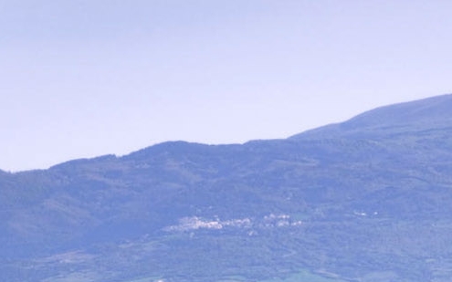 粉象生活vip交多少钱