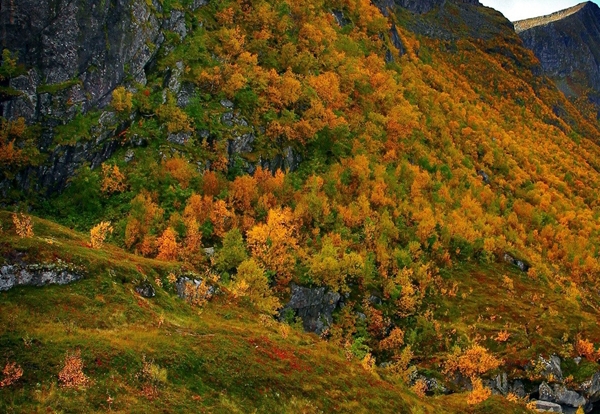 粉象生活手机怎么做任务