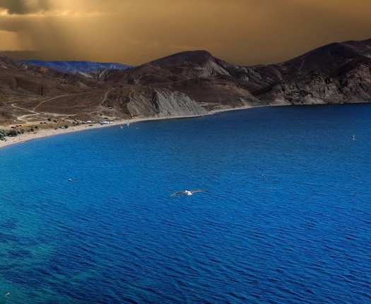 揭阳粉象生活赚钱