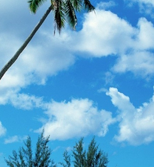 粉象生活卖东西收入