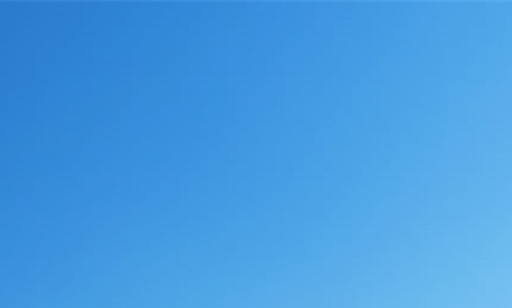 枣庄粉象生活代理