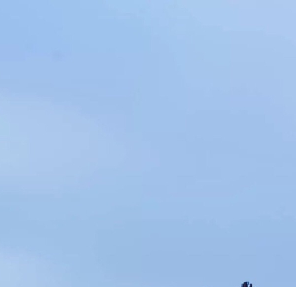 粉象生活订单怎么退款