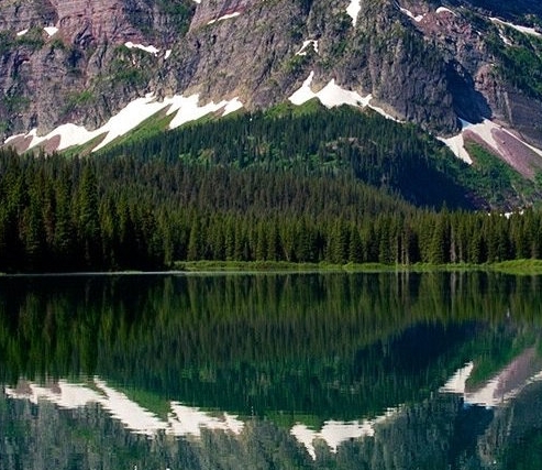 粉象生活邀请码