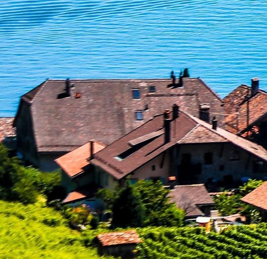 粉象生活是正规平台吗