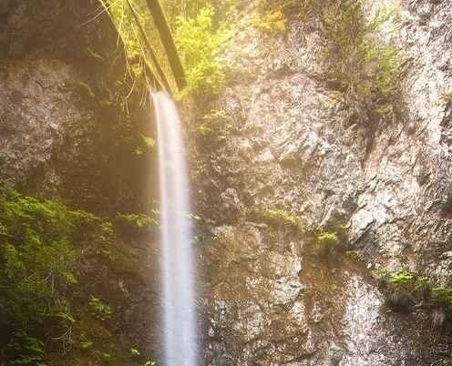 粉象生活赚钱教程