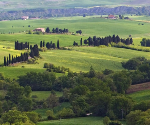 粉象生活怎么赚钱