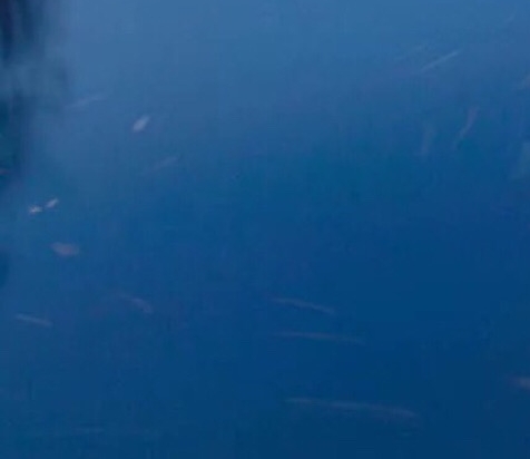 武汉热搜传媒科技有限公司靠谱吗