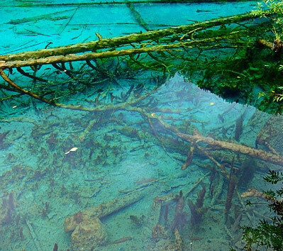 亚马逊海购入驻粉象