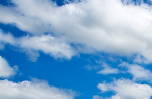 粉象生活是哪个公司开发的