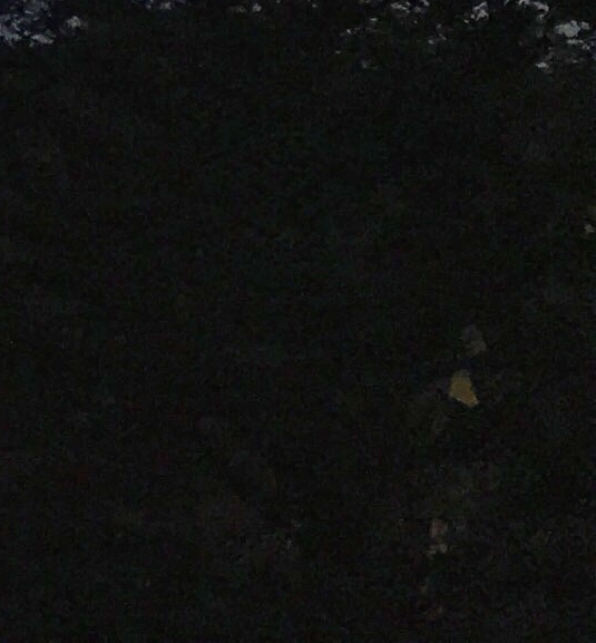 新象地板好不好