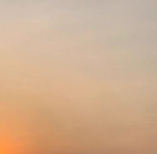 粉象生活下载app