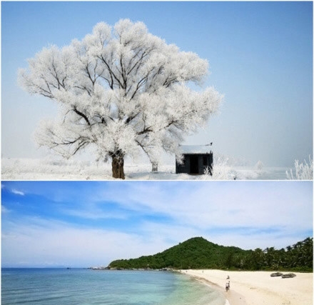 粉象生活赚钱的项目排行榜