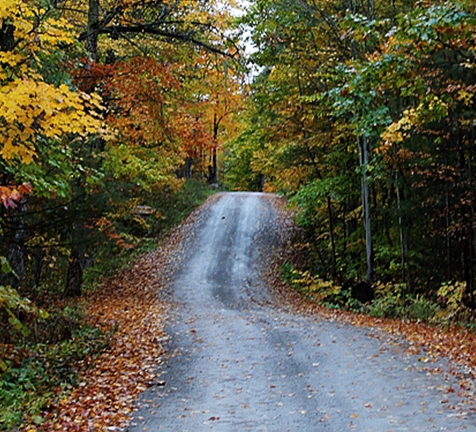 赣州粉象生活推广